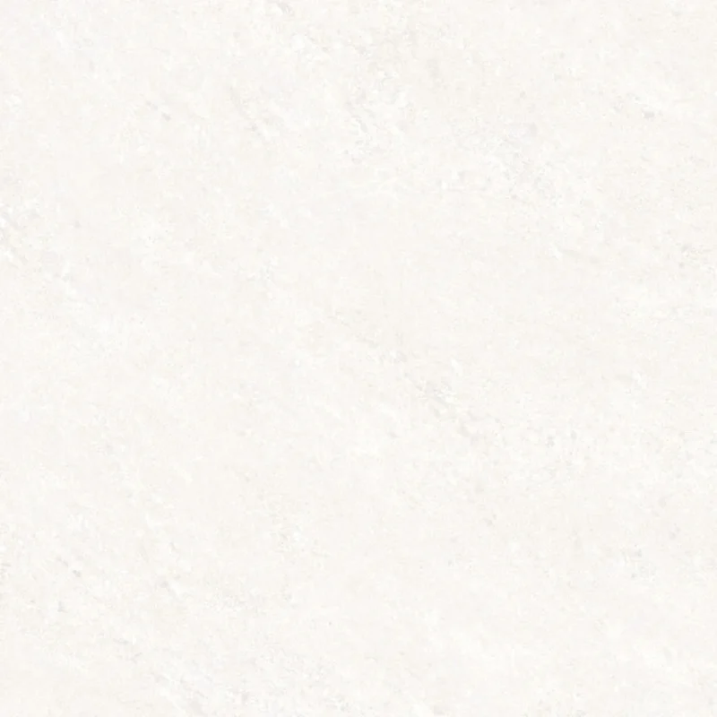 HD66T9501P(Semi-polished)