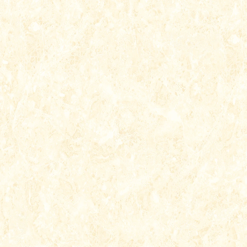 HD66TL602P(Semi-polished)